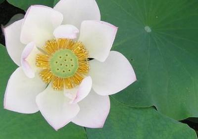 2019逗比总结句子(实用21句)