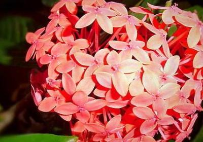 53句优美句子(汇总50句)