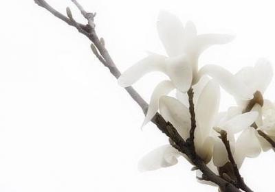 祝贺夺冠的句子(推荐50句)
