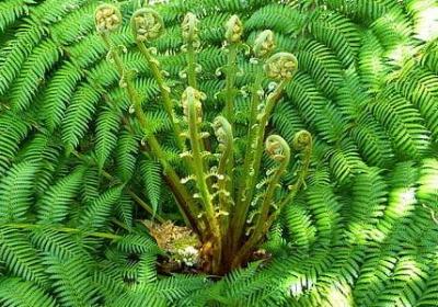 2019最拽搞笑句子(精选60句)
