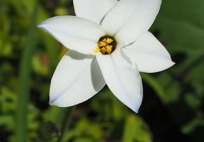 蓝忘机经典句子(通用50句)