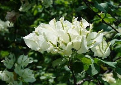 520伤感句子(共20句)