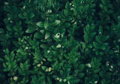 9月教师节的句子(必备15句)