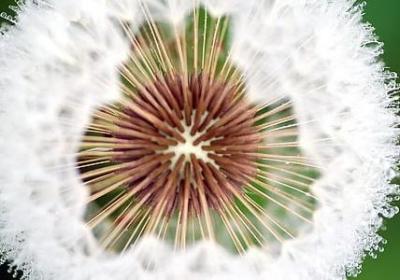 纯真爱情的句子(实用10句)