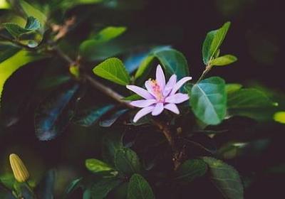 聊骚撩汉句子(合集40句)