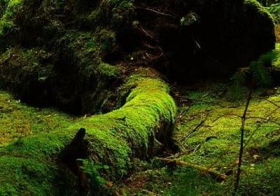地狱造句 地狱相关的句子有那些