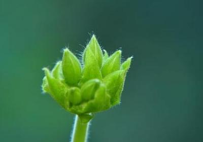 飞船造句 飞船相关的句子有那些