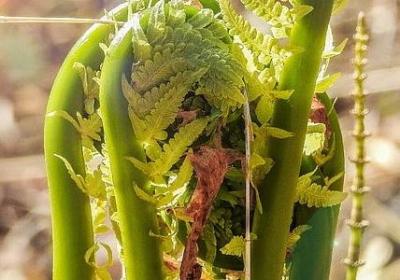 这么早就醒了心情句子(优选48句)