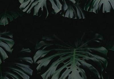 重感情的人的句子说说(实用50句)