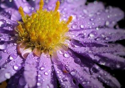 雨点造句 雨点可以组的句子有那些(热门87句)