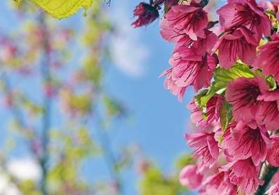 梦乡造句 与梦乡相关的句子有那些(热门72句)