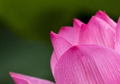 光芒造句 与光芒相关的句子有那些(共73句)