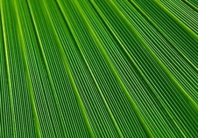 _真_写句子(69句)