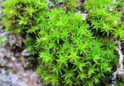 转秋季的句子(合集20句)