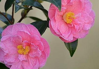 青春物语句子(汇总20句)