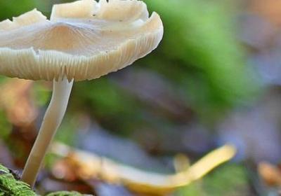 难受想死的句子(通用15句)