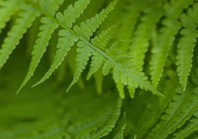 送给狂妄的人的句子(实用20句)