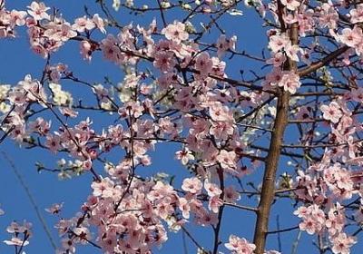 《大学》关于善的句子(优选39句)