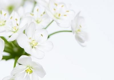 神圣造句 神圣可以组的句子有那些(汇总83句)