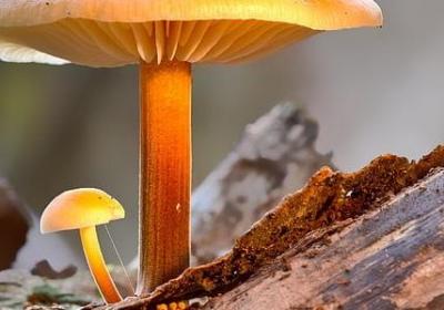 消失造句 有关消失的句子有那些(精选93句)