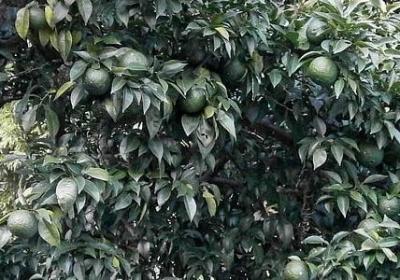 一语双关的句子骂人(推荐50句)