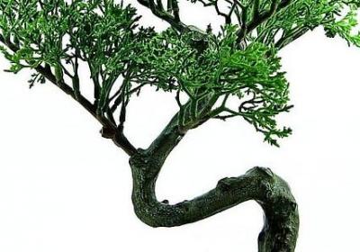 一缩写句子(推荐160句)