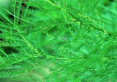 万家灯火唯美句子(合集20句)