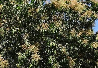 三打白骨精缩写句子(通用10句)