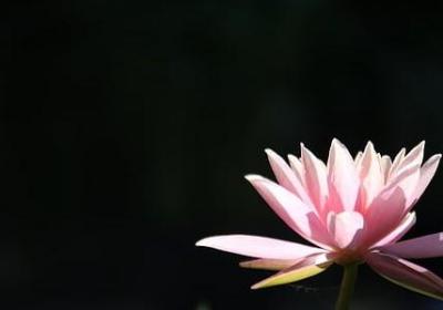 七英语句子(实用61句)