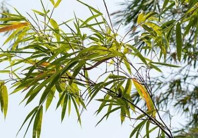 一起有啥句子(精选60句)