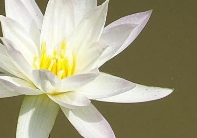 《诟病》句子(精选41句)