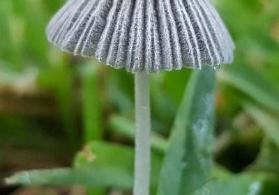 一颗不安分的心的句子(必备43句)