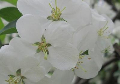 一写句子是什么(推荐140句)
