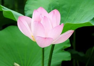 七夕的句子(实用80句)