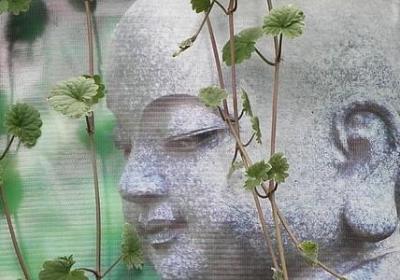 不可组句子(精选69句)