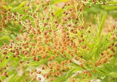不放假的霸气句子(合集50句)
