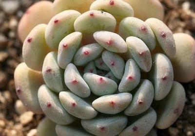 不尊重别人的人的句子(推荐50句)
