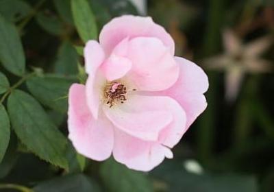 不是迷信的句子(优选40句)