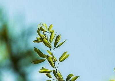 下雨时代心情的句子(通用80句)