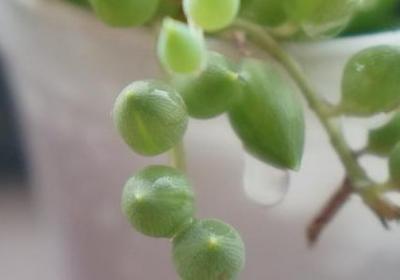 上头条的励志句子(40句)