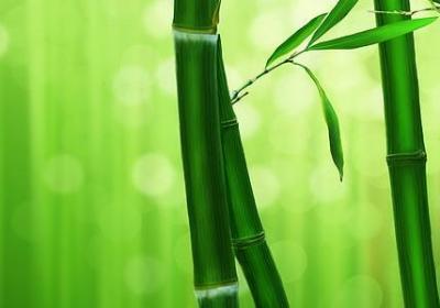 不再追求浮夸的句子(通用50句)