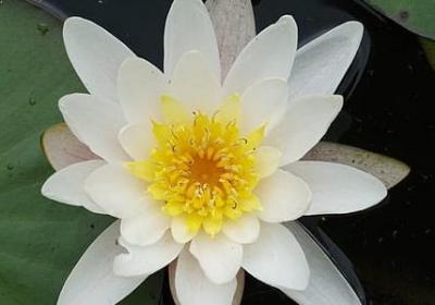 不将就文案 句子摘抄(通用39句)