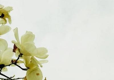 不拜佛句子(优选50句)
