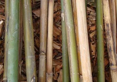 下班美好文案句子(热门50句)