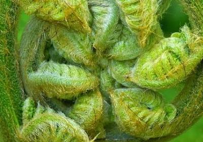 不拿你当回事的句子(推荐67句)