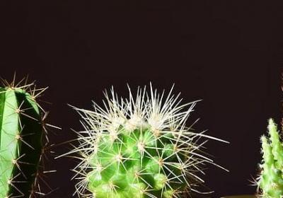 下班回家的细节句子(汇总20句)