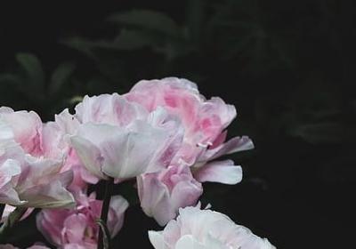 下班配汽车句子说说(汇总80句)