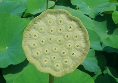 世界无情句子摘抄(优选50句)