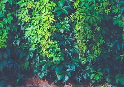 专注玩玩具的句子(实用40句)