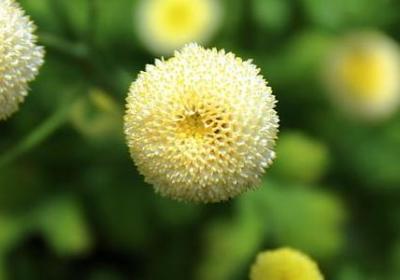 与弟弟相见文案句子(合集43句)